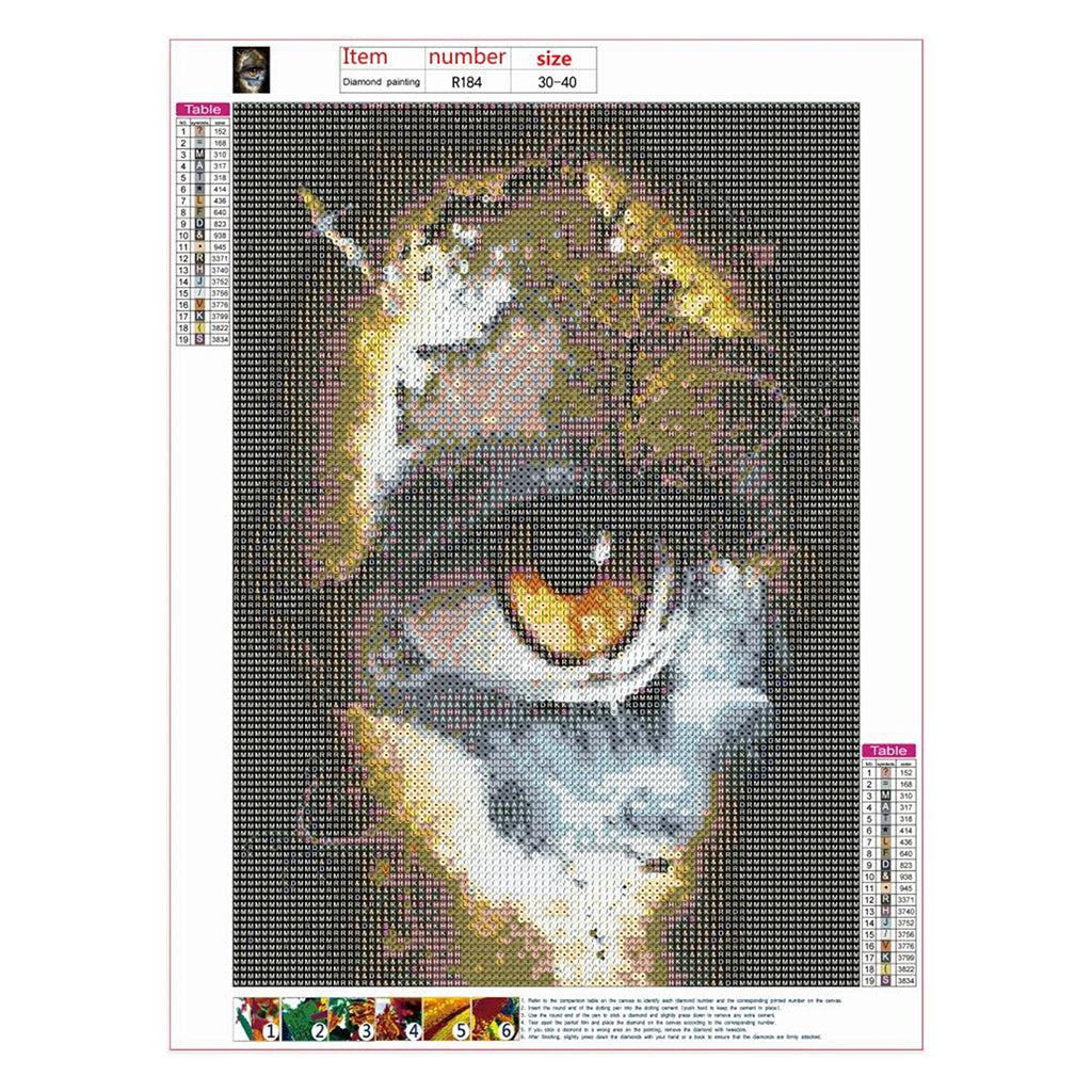 5D Diamond Painting Kits for Adult Full Drill Paint with Diamonds for Home Wall Decor 16X19.7inch，Moon Wing girl