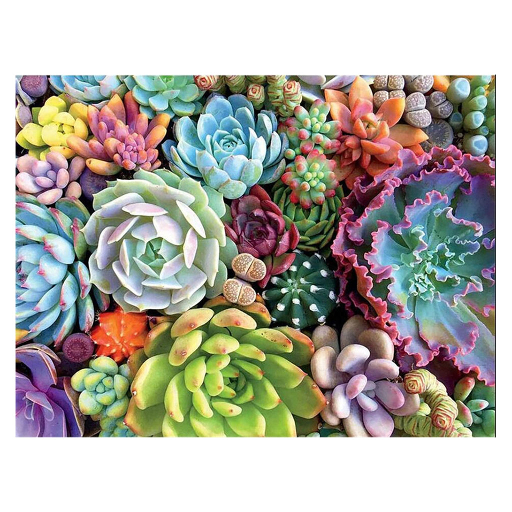 5D Diamond Painting Kit for Adult Full Drill Paint with Diamonds Pictures Arts for Home Decor,Succulents